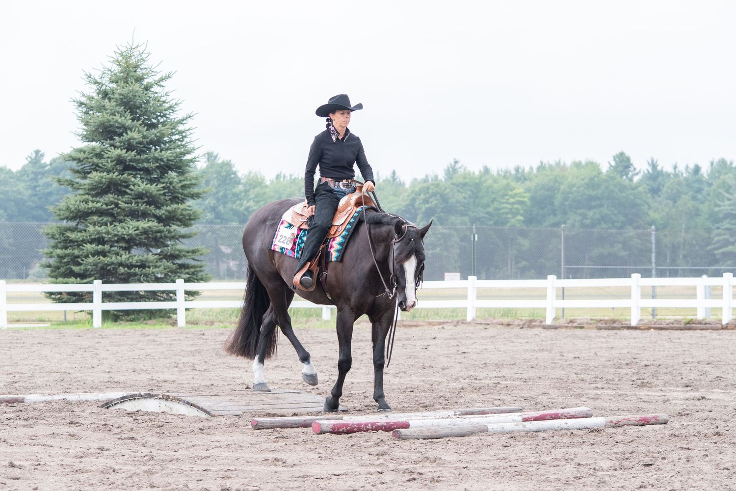 Horse & Rider, at Horse show, trail class