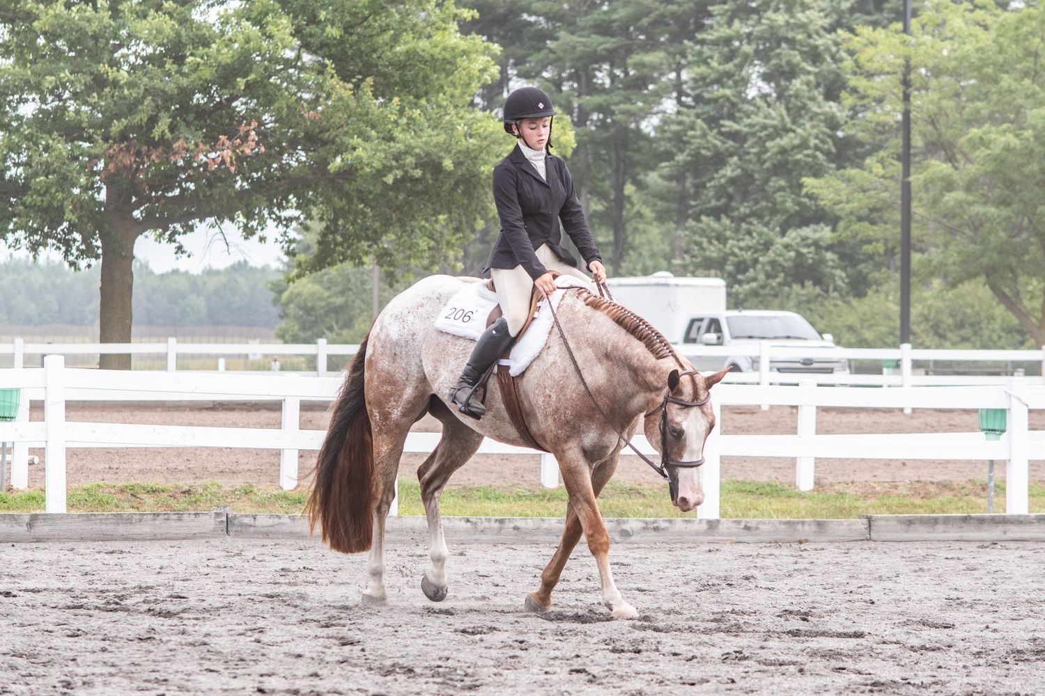 Horse & Rider, at Horse show, English riding