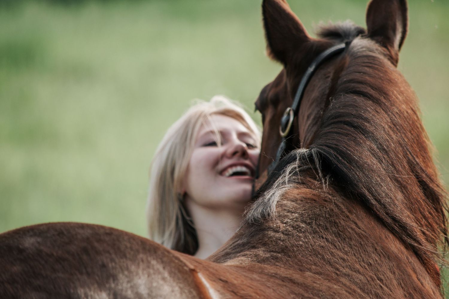 Summer Photo of a Girl with a Horse