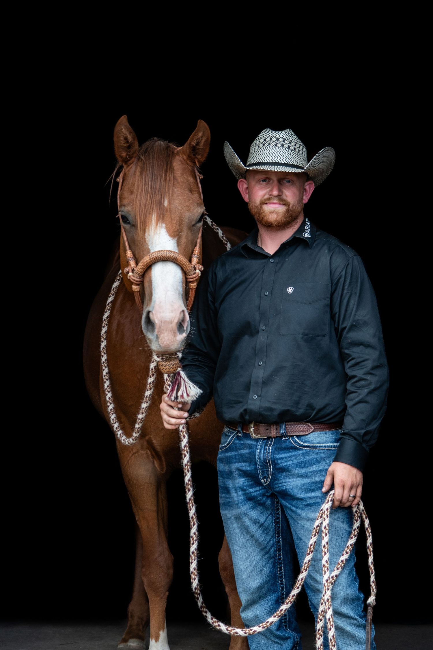Black Background of Horse & Rider