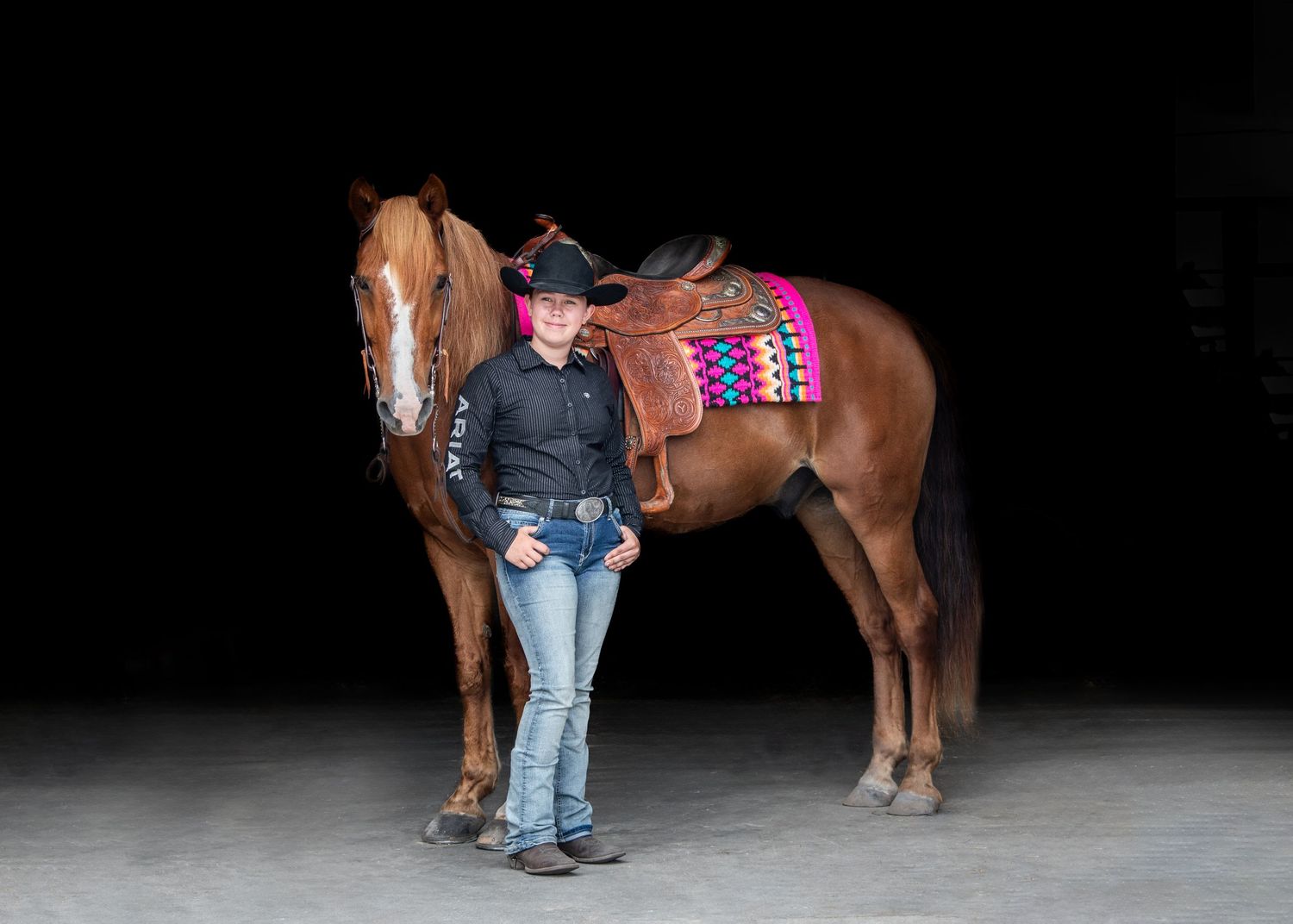 Black Background of Horse & Rider
