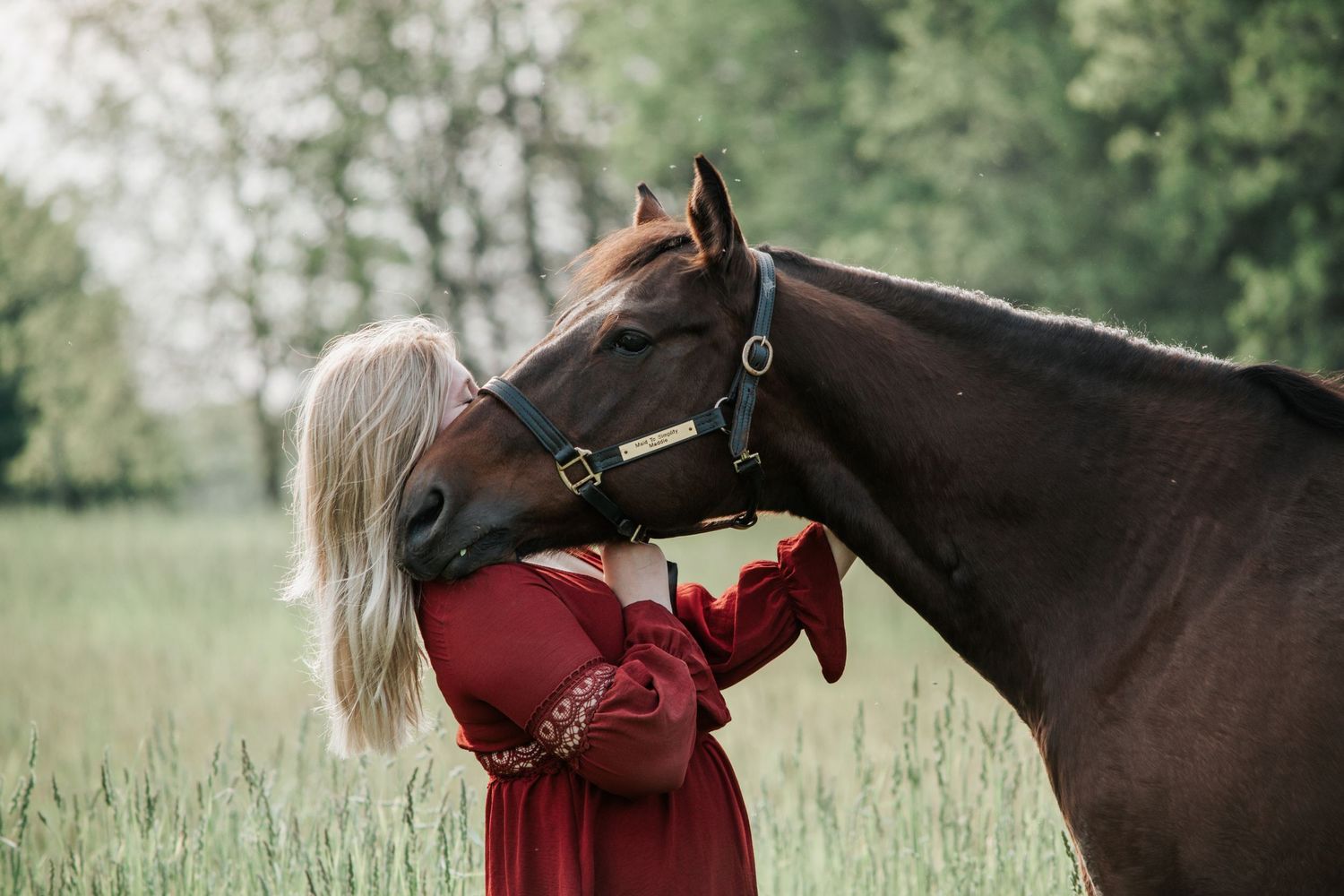 Summer Photo of a Girl with a Horse