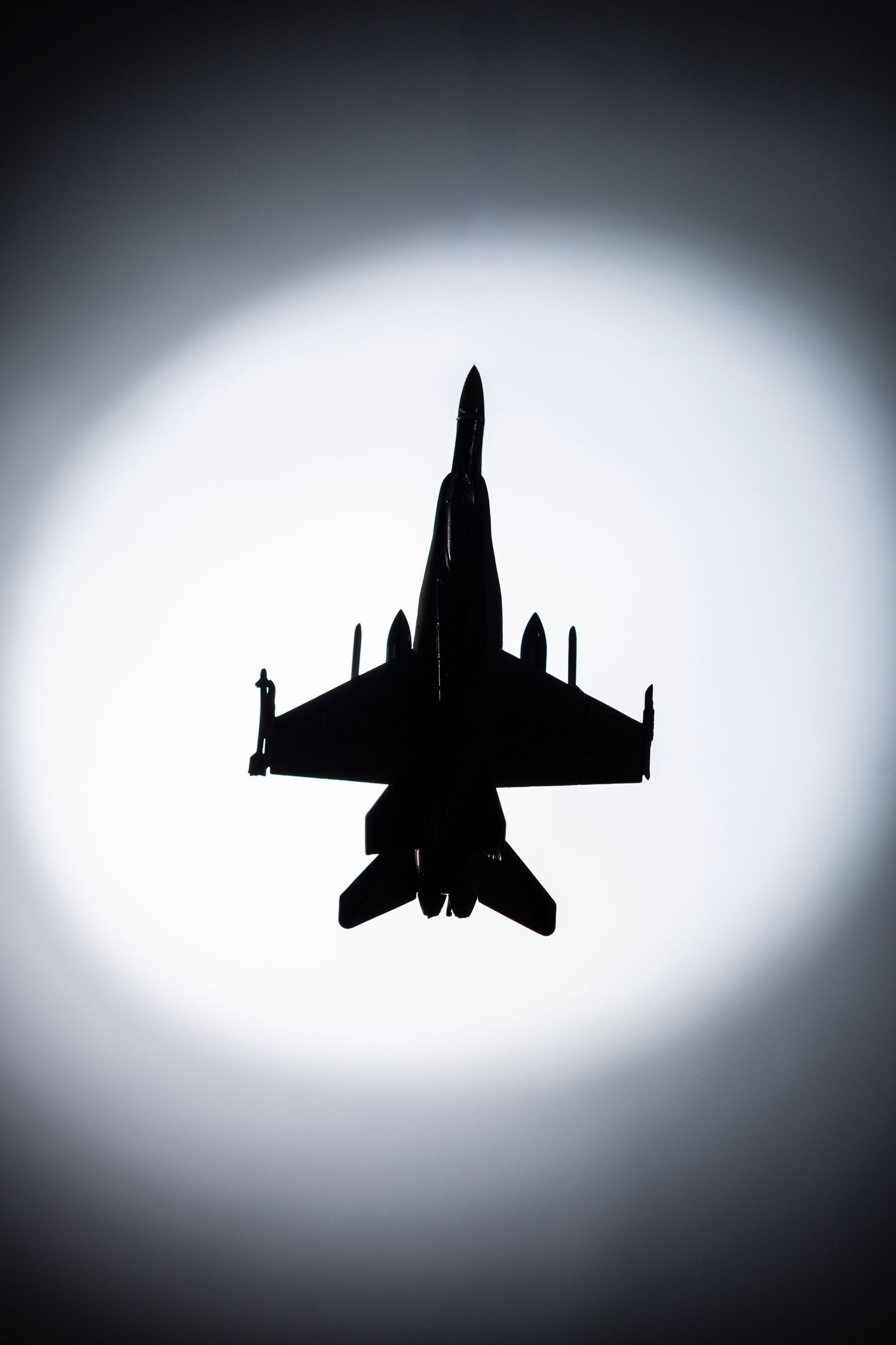 Avion