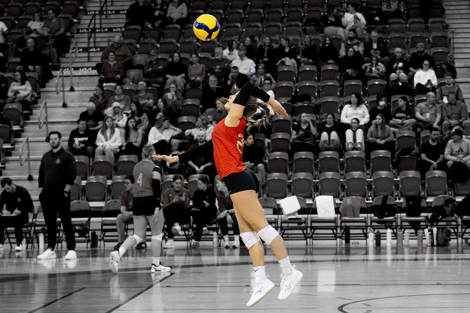 Rouge et Or VolleyBall Féminin