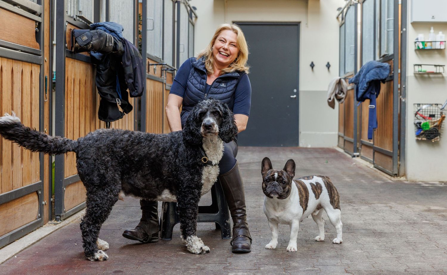 Dogs and their owners walking together on a narrow urban street.