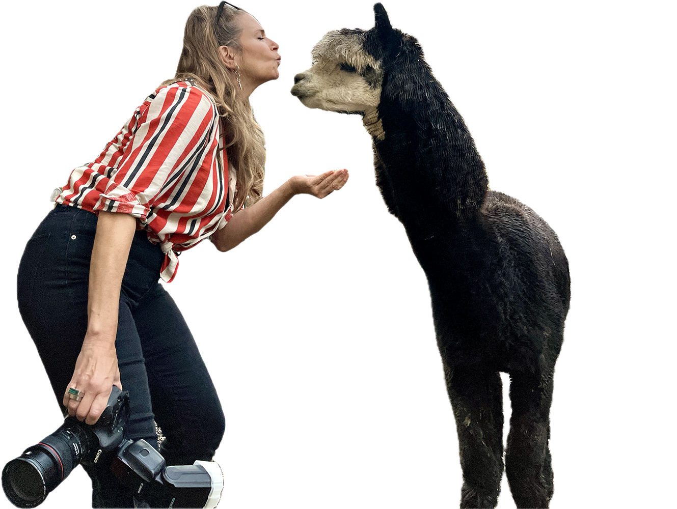 A person in striped clothing interacts playfully with a large black dog in a series of action shots.