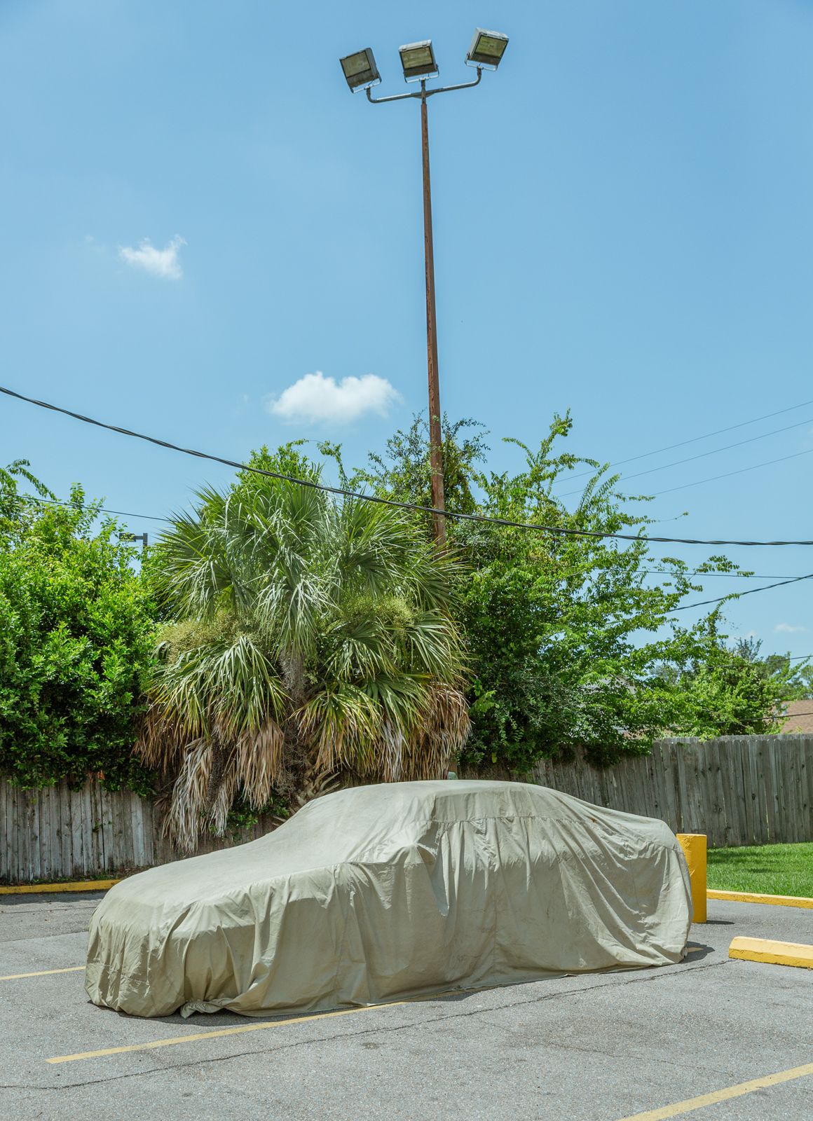 Row of cars covered with protective beige car covers in parking lot under blue sky.