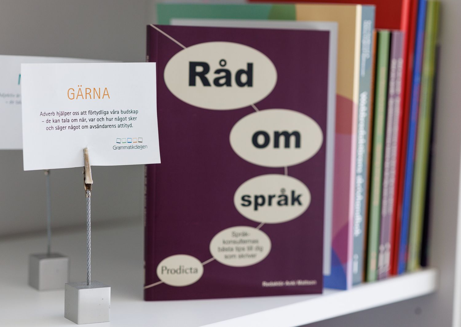 Colorful bookshelves with text bubbles and language learning materials displayed.