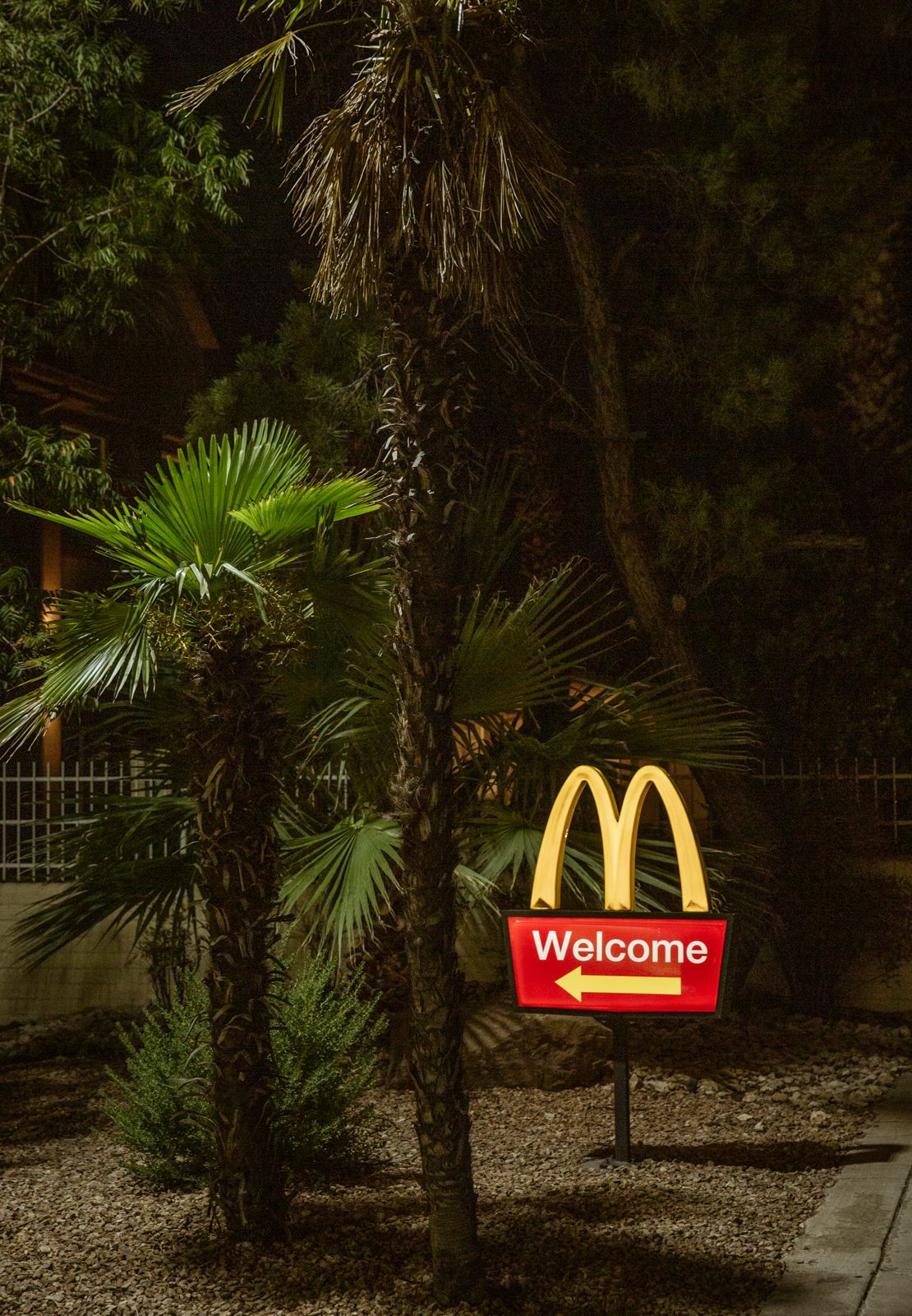 McDonald's welcome sign illuminated at night among tropical palm trees.