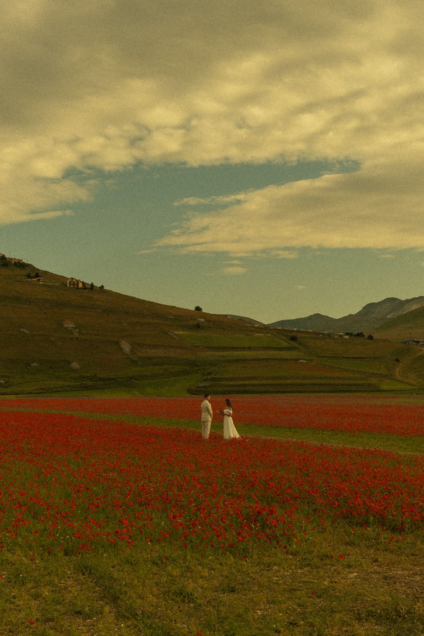 Elopement among wildflowers at Pian Grande, Castelluccio di Norcia