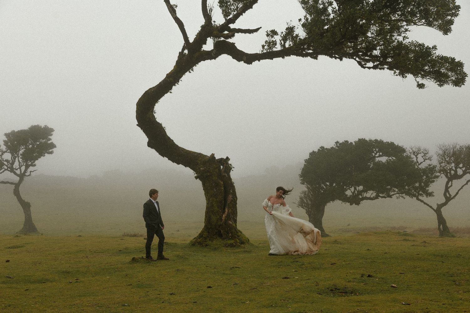 Madeira Destination Elopement photographer, Fanal Forest