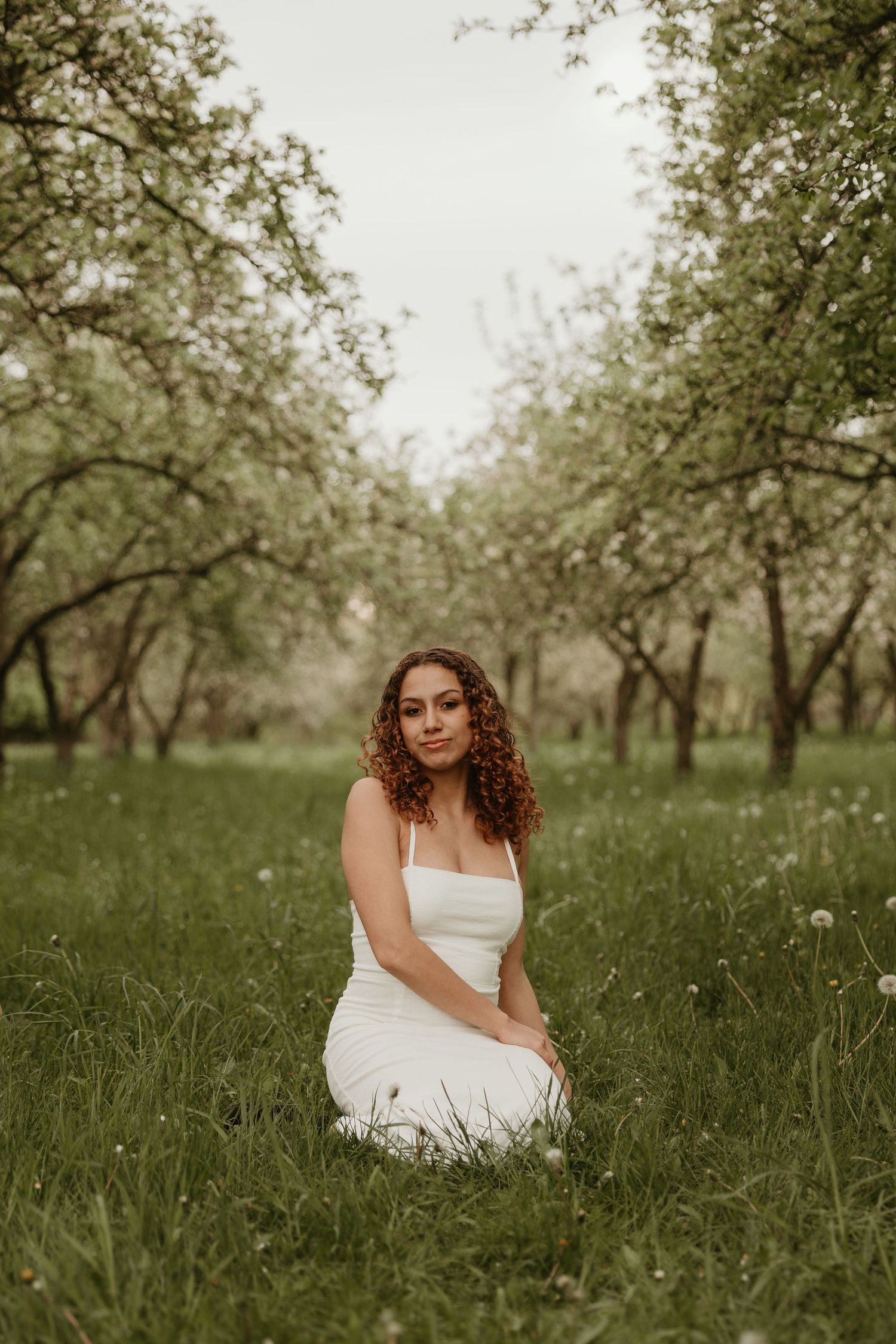 A young woman with curly hair in a white dress sits gracefully on green grass in a blooming apple orchard.
