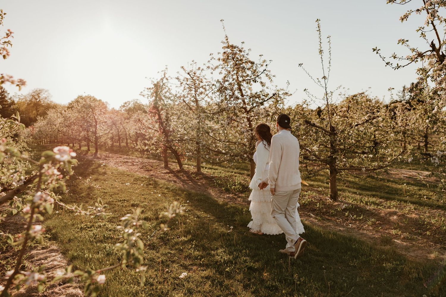 Couple in white attire walking through a sunlit blossoming orchard during golden hour.