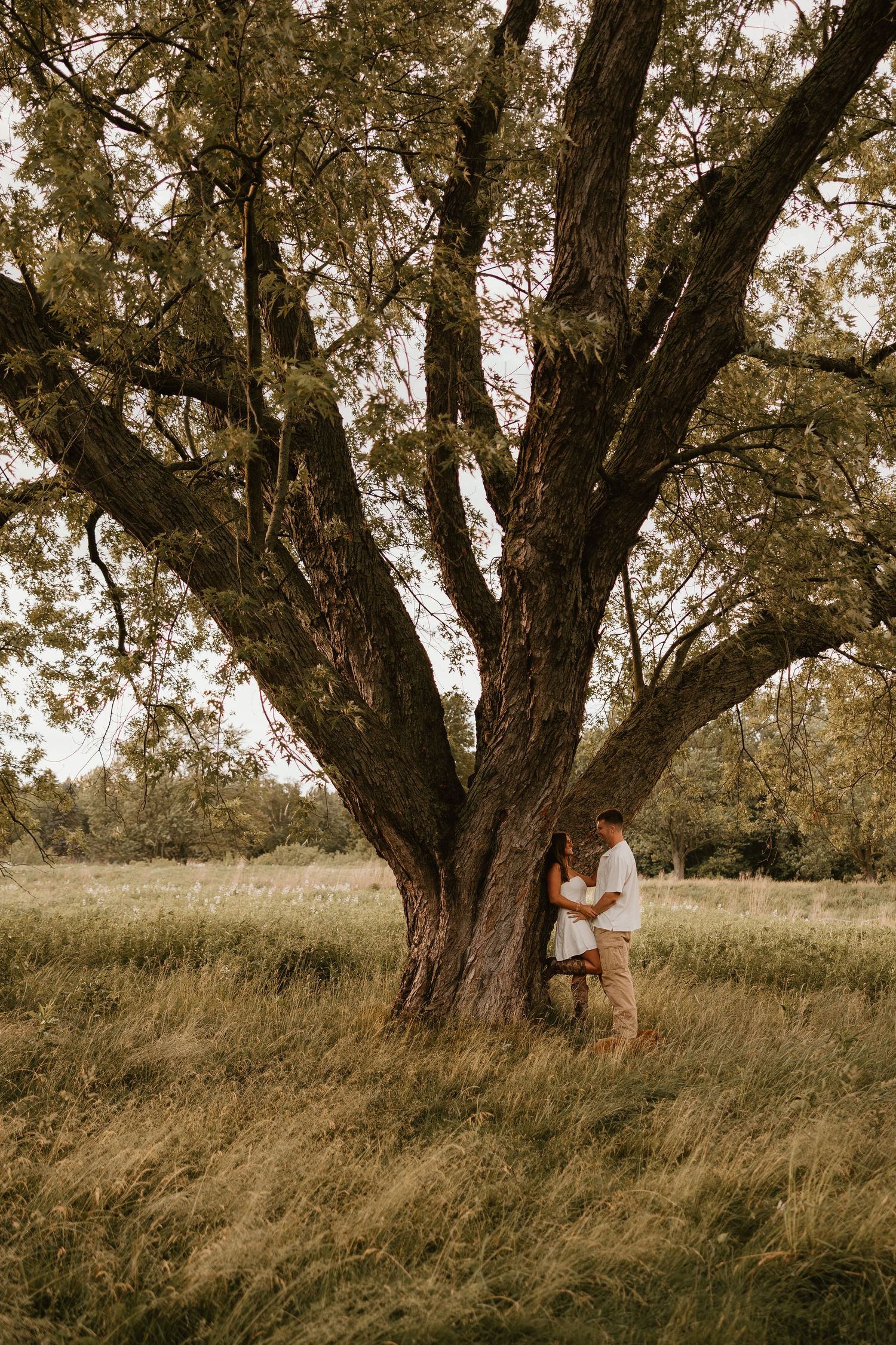 Couple embracing under a large oak tree in a golden meadow, romantic outdoor engagement photo session.