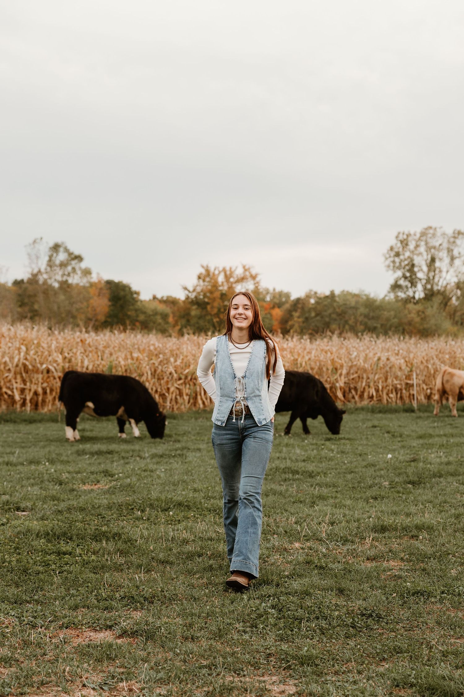 Young woman in denim overalls walks through a farm pasture with black cattle grazing near a cornfield in autumn.
