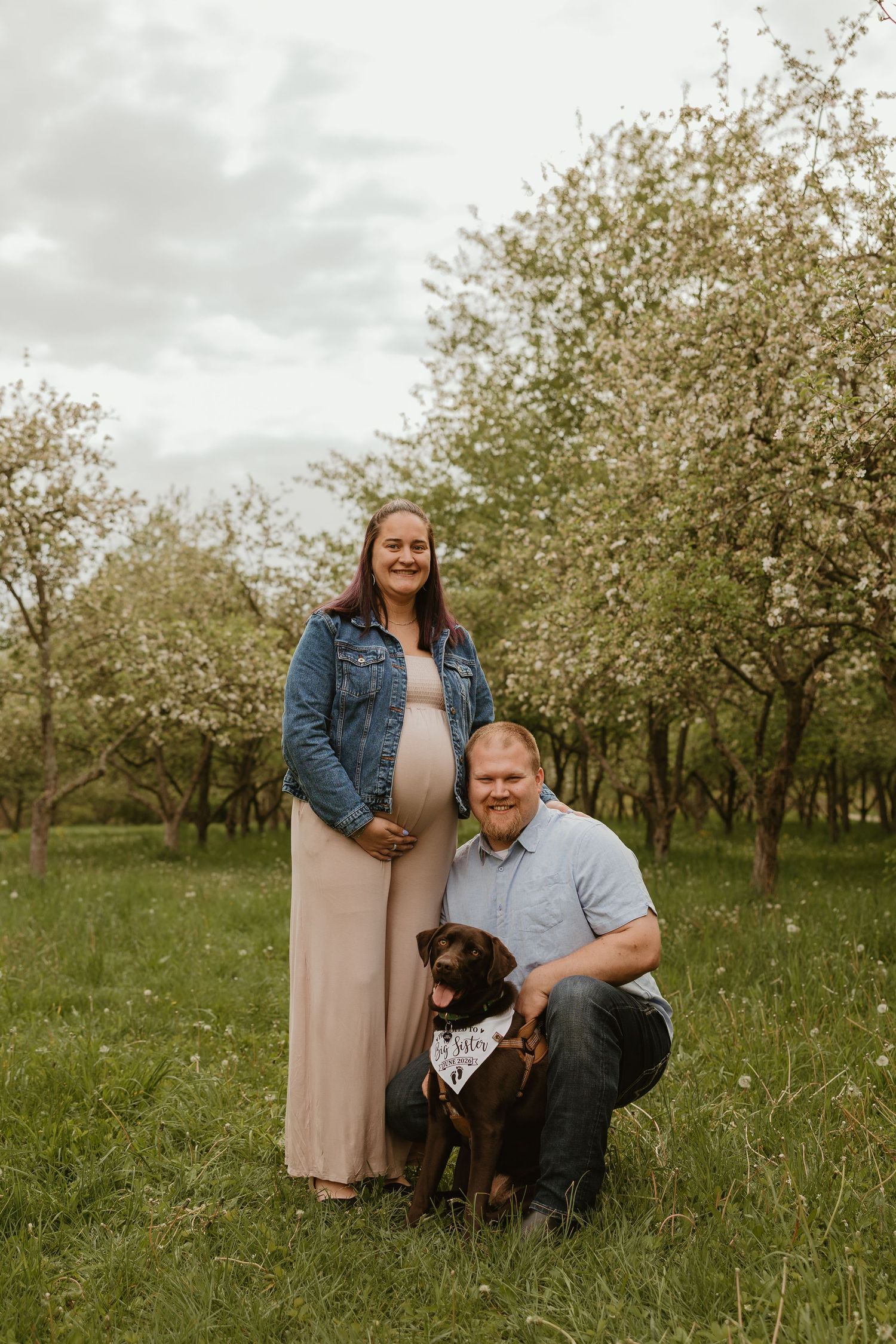 Pregnant woman in maxi dress and denim jacket poses with man and chocolate Lab dog in blooming orchard.