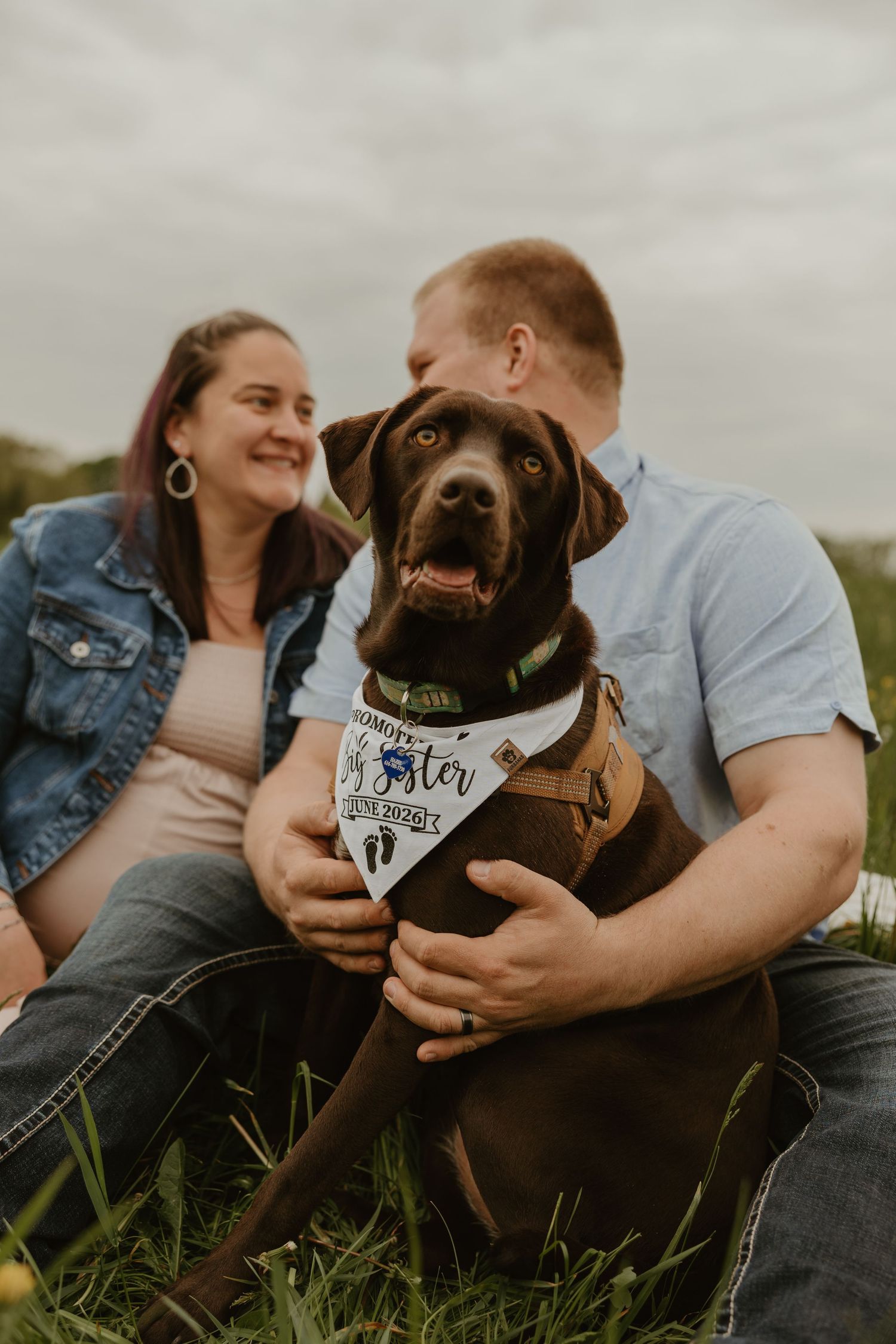 A chocolate Labrador wearing a big brother bandana sits with a couple outdoors, announcing a pregnancy.