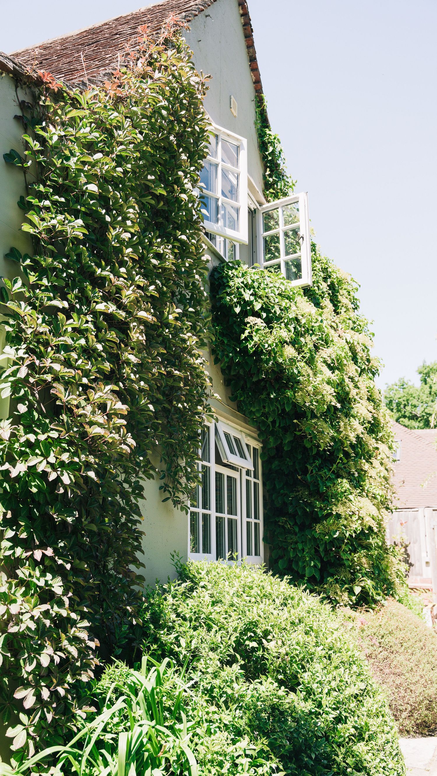 Portrait shot venue with vines and bushes on the side of building.