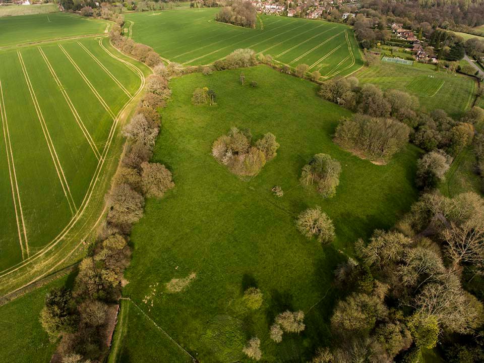 Aerial drone view of lush green English countryside farmland with trees and agricultural fields.