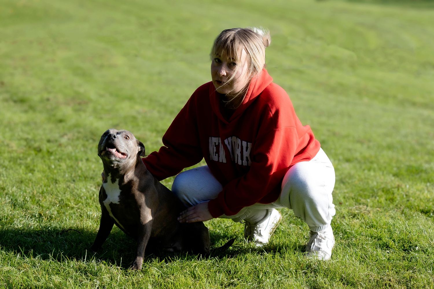 A blonde woman in a red hoodie crouches beside a gray Pit Bull dog on a green grassy field.