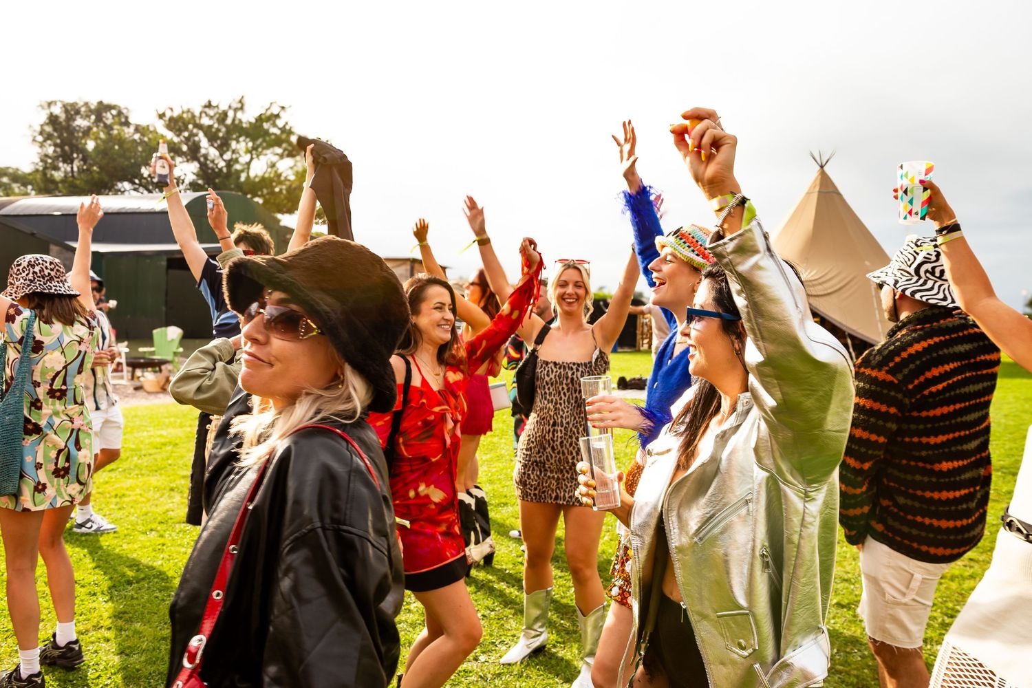 Group of happy festival-goers dancing and raising hands on sunny green field at outdoor music event.