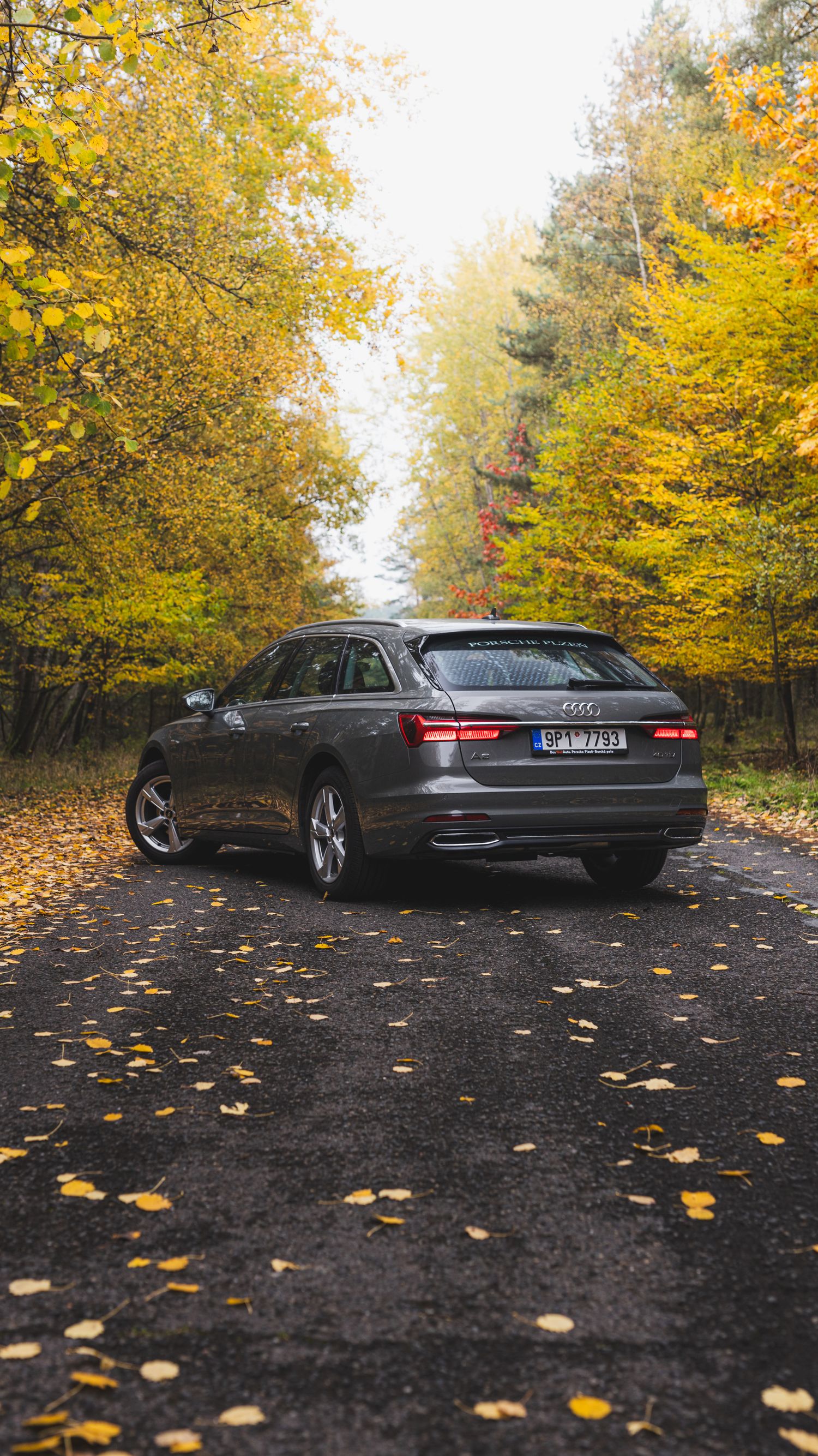 Audi A6 Avant