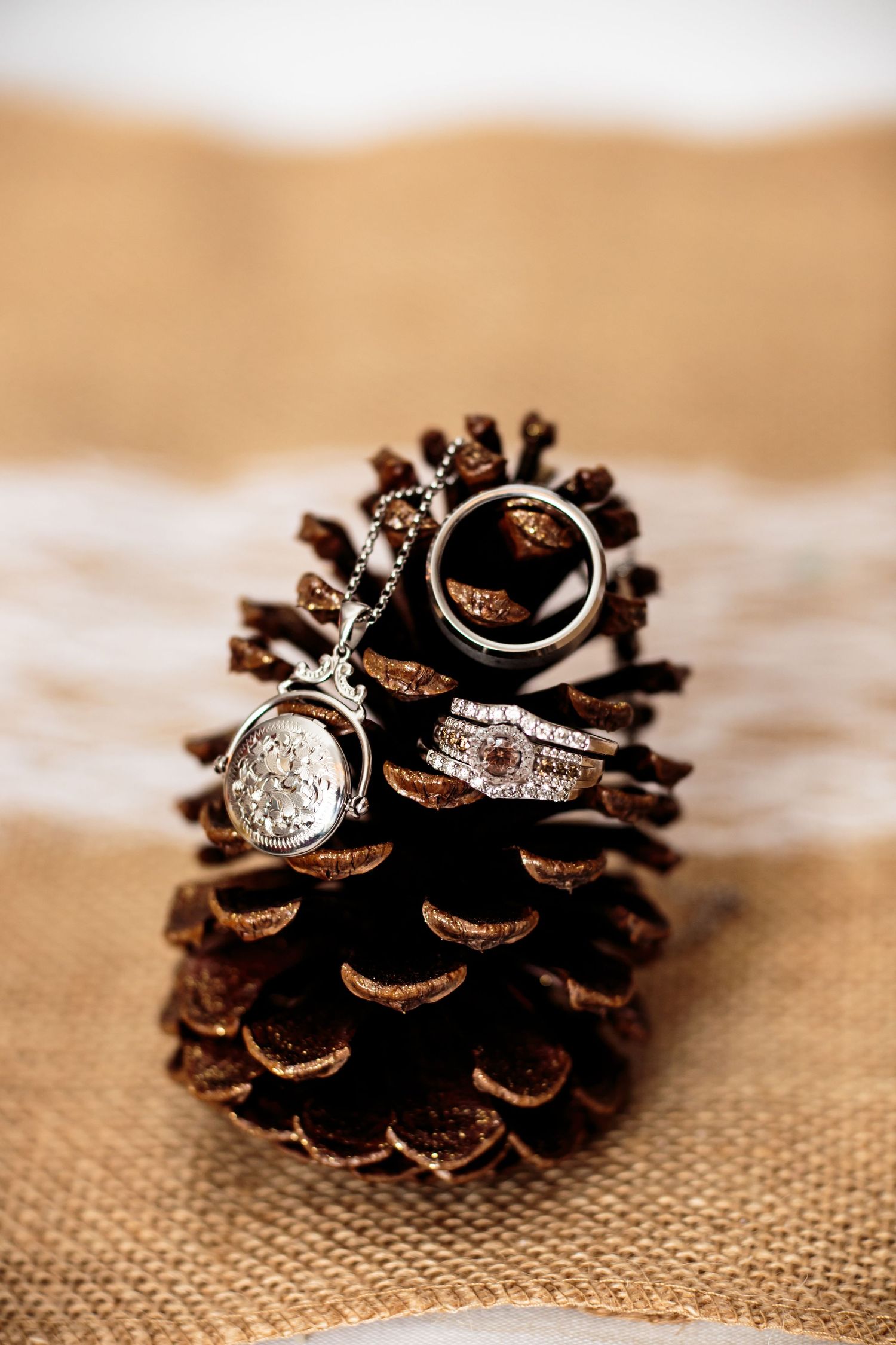 Creative wedding detail shot of the rings. A pinecone holds the chocolate diamond bridal set, the groom's ring, and the flower girl's locket