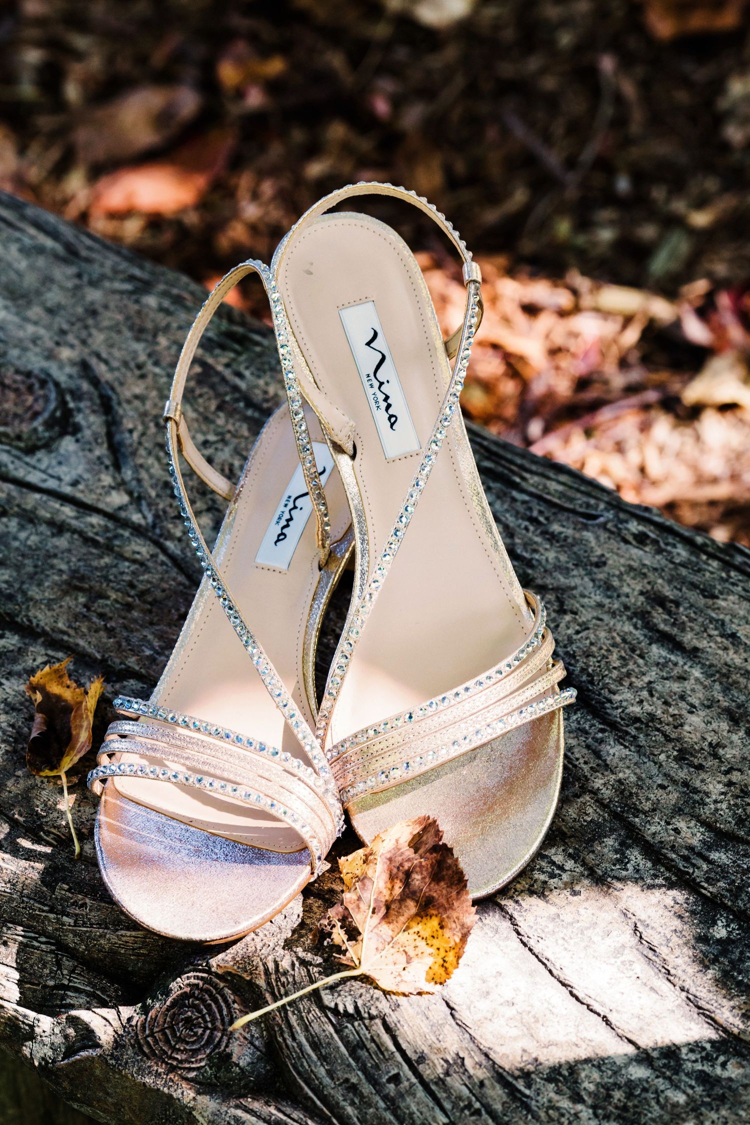 Gold sequin wedding day shoes placed casually on a fallen log. Dry leaves are near to add interest.