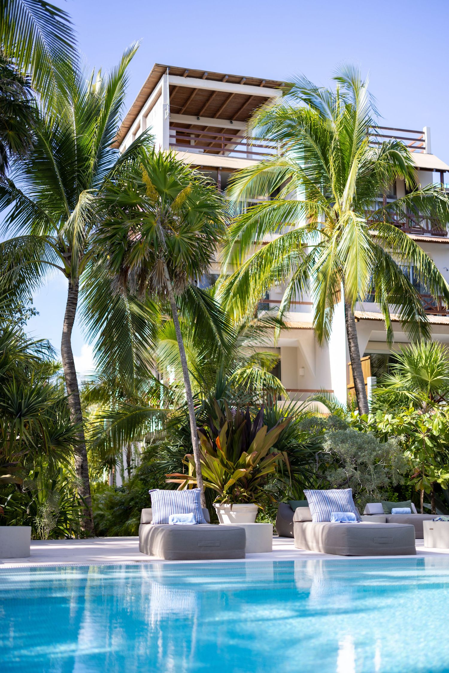 Modern luxury resort with palm trees and turquoise swimming pool in tropical setting.