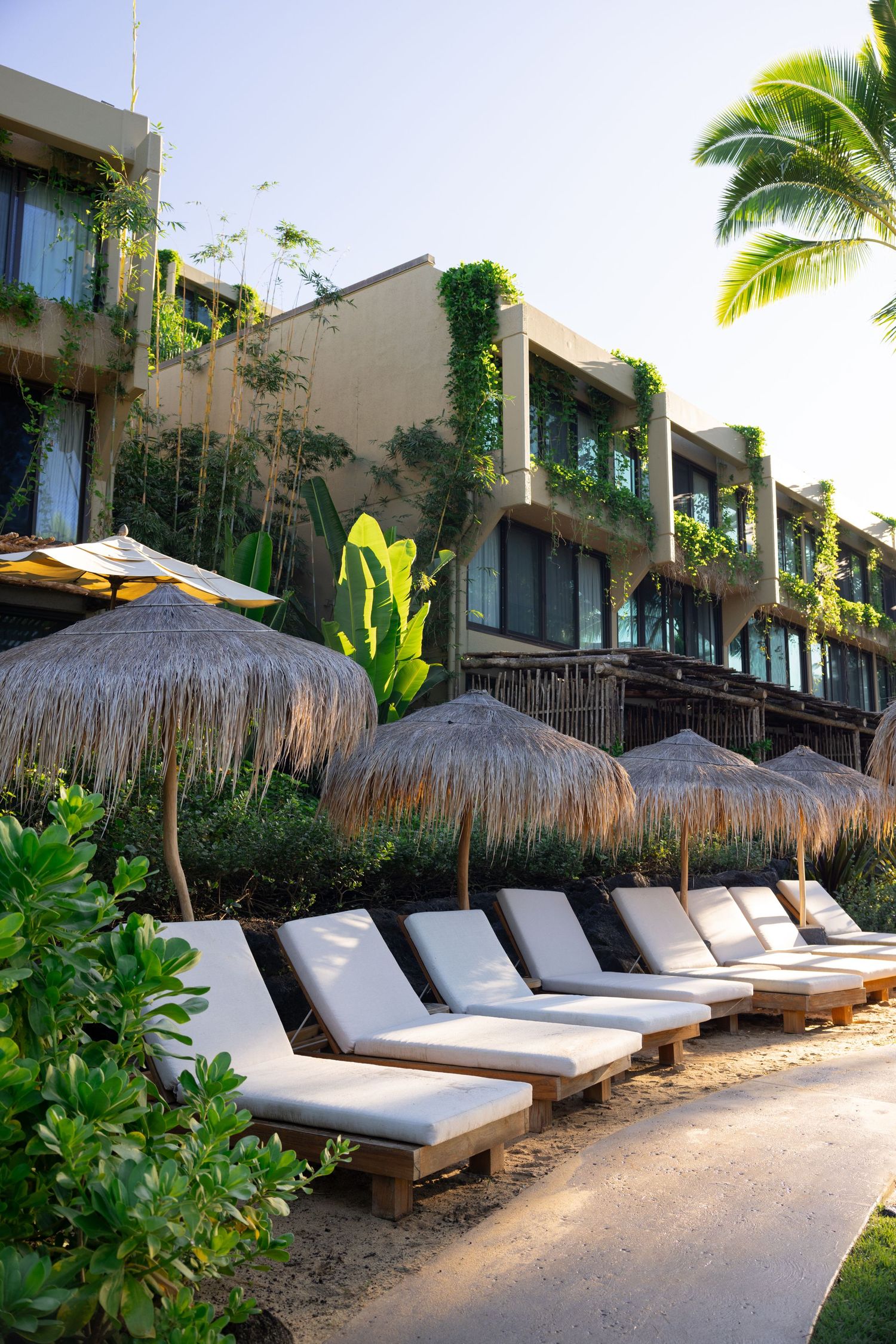 Luxury beachfront resort with thatched umbrellas and lounge chairs lined up along a pathway.