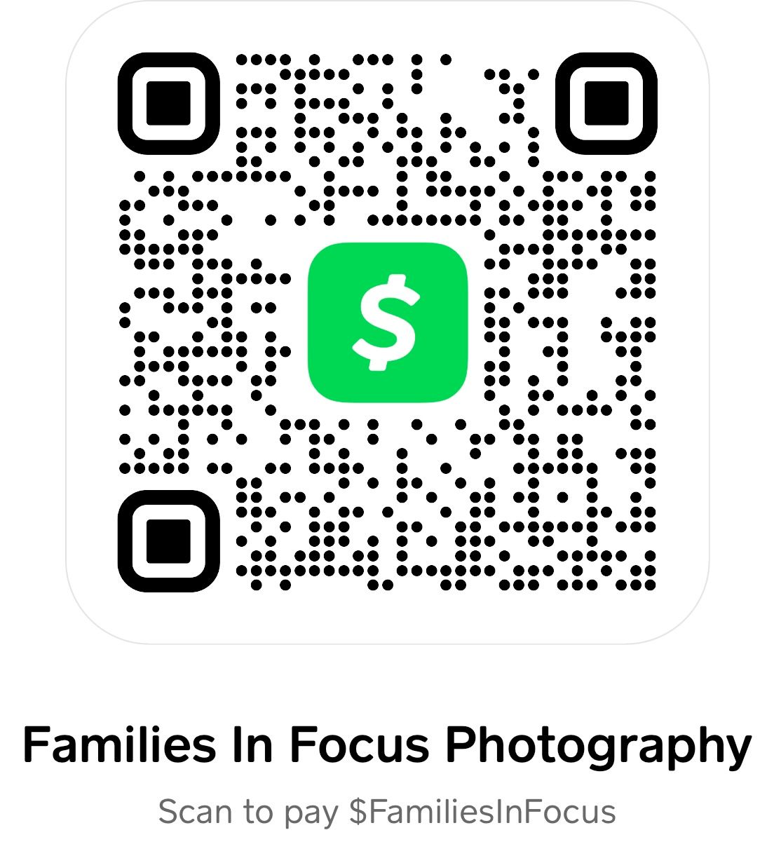 Families in Focus Payment