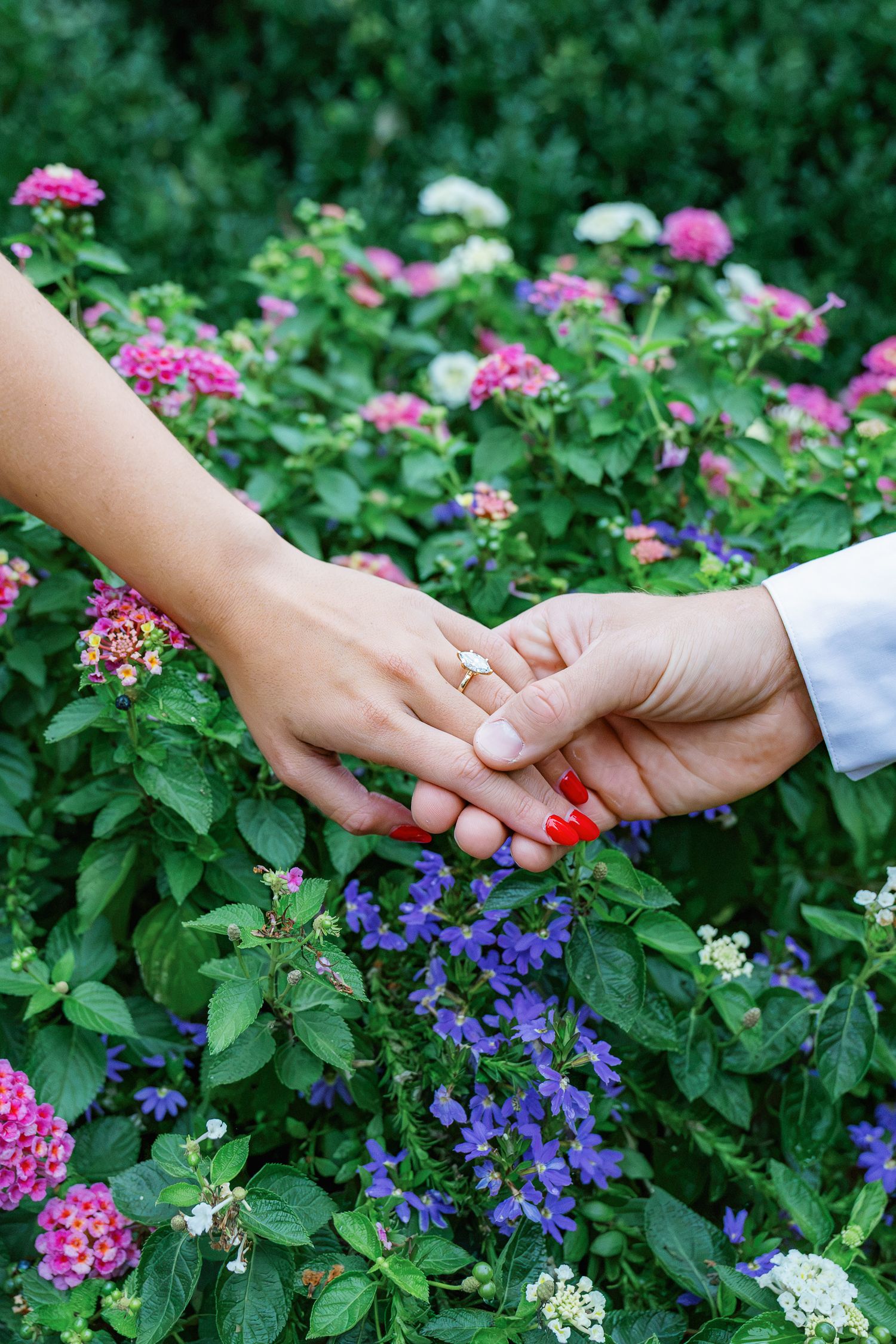 Close-up of an engaged couple holding hands among colorful flowers at Conestoga House and Gardens during their Lancaster, Pennsylvania engag