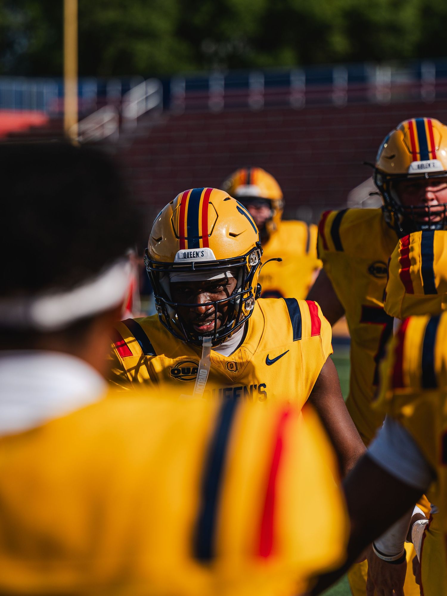 Queen's football players in gold helmets and uniforms line up during a college football game.
