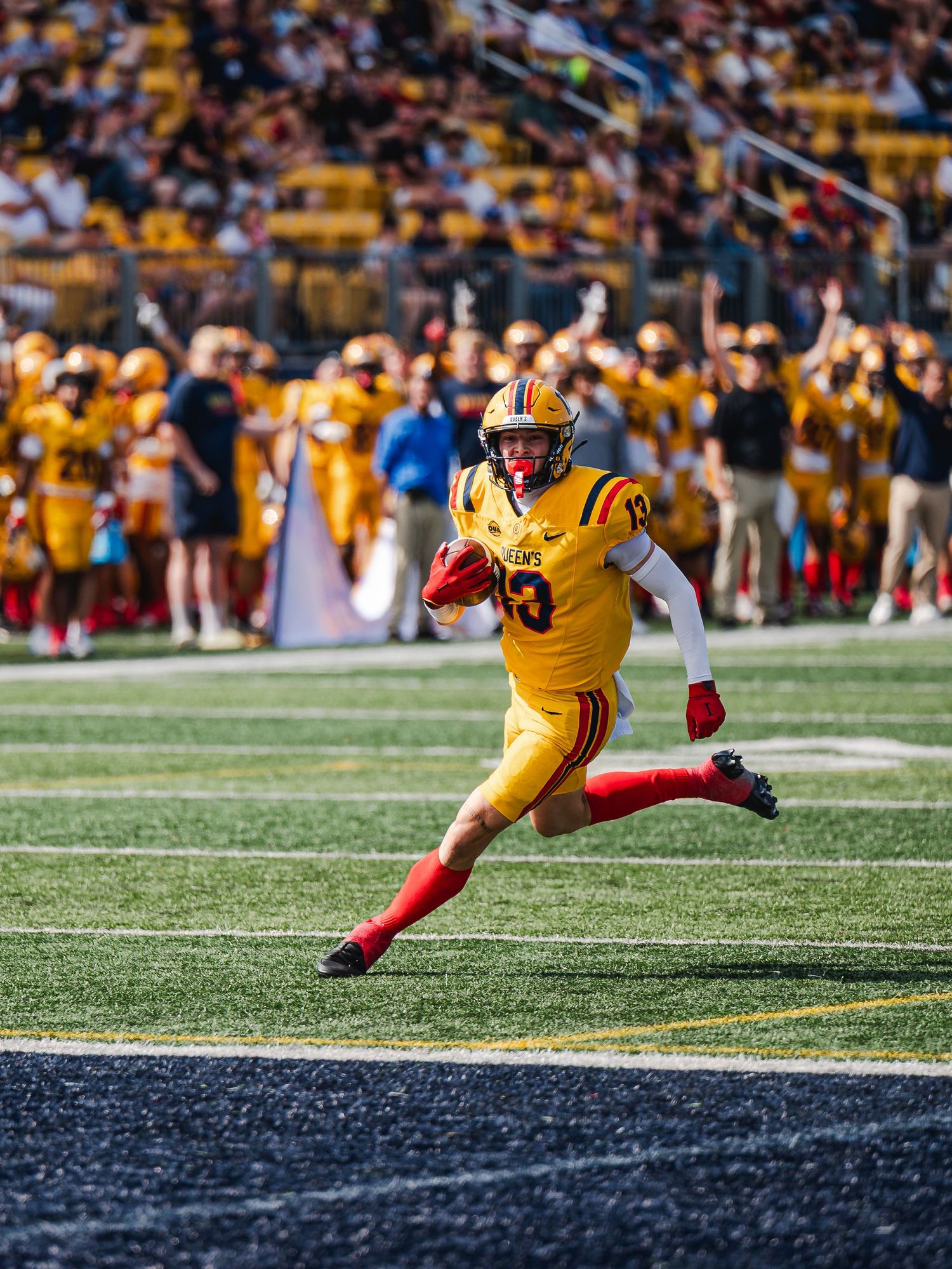 Queen's football player #13 in gold uniform sprints with ball during sunny college football game.