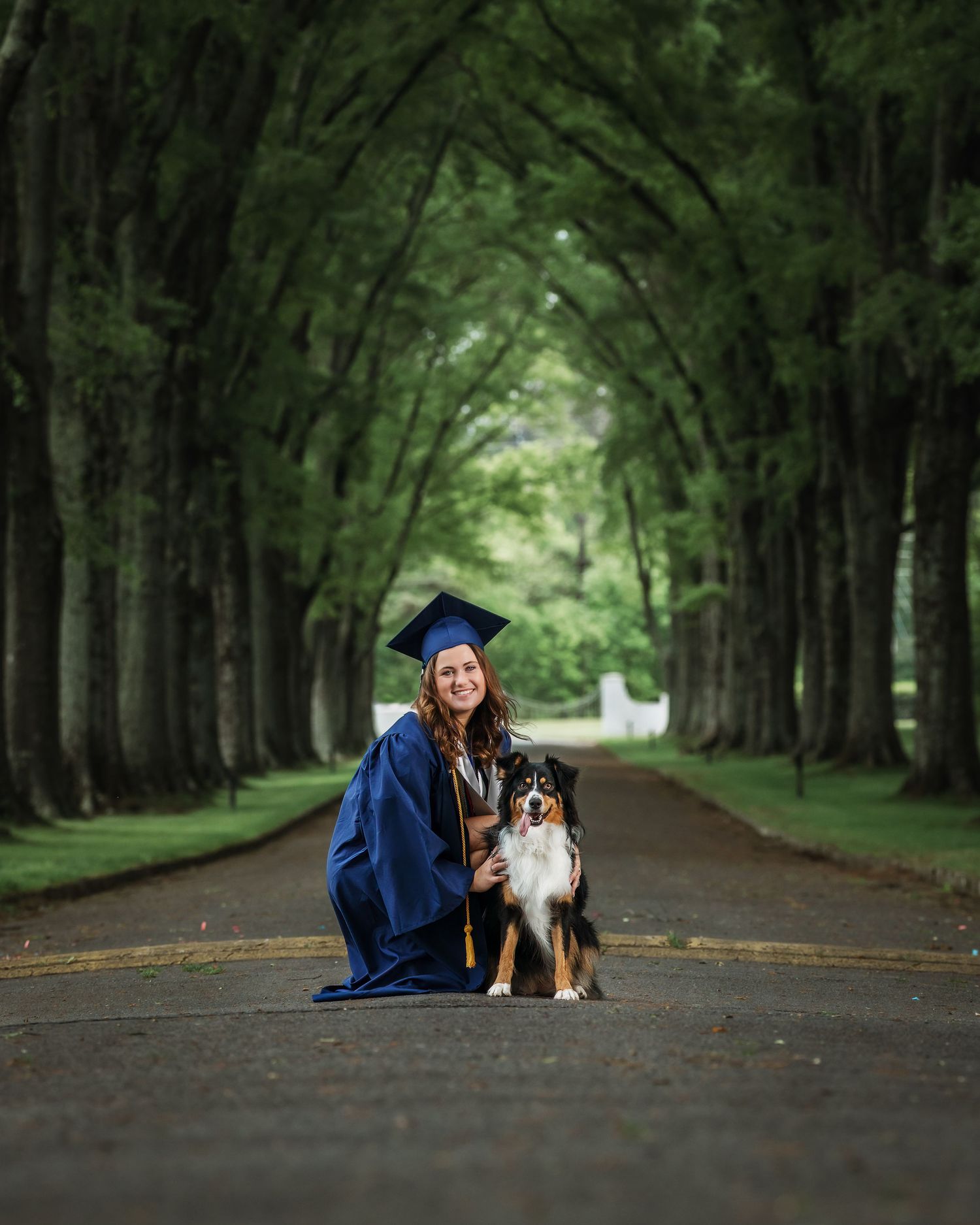 Graduate in blue cap and gown kneels with Australian Shepherd dog on tree-lined road.