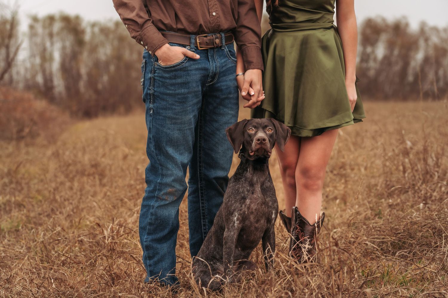 Couple standing with their brown dog in a field of tall dry grass in autumn.