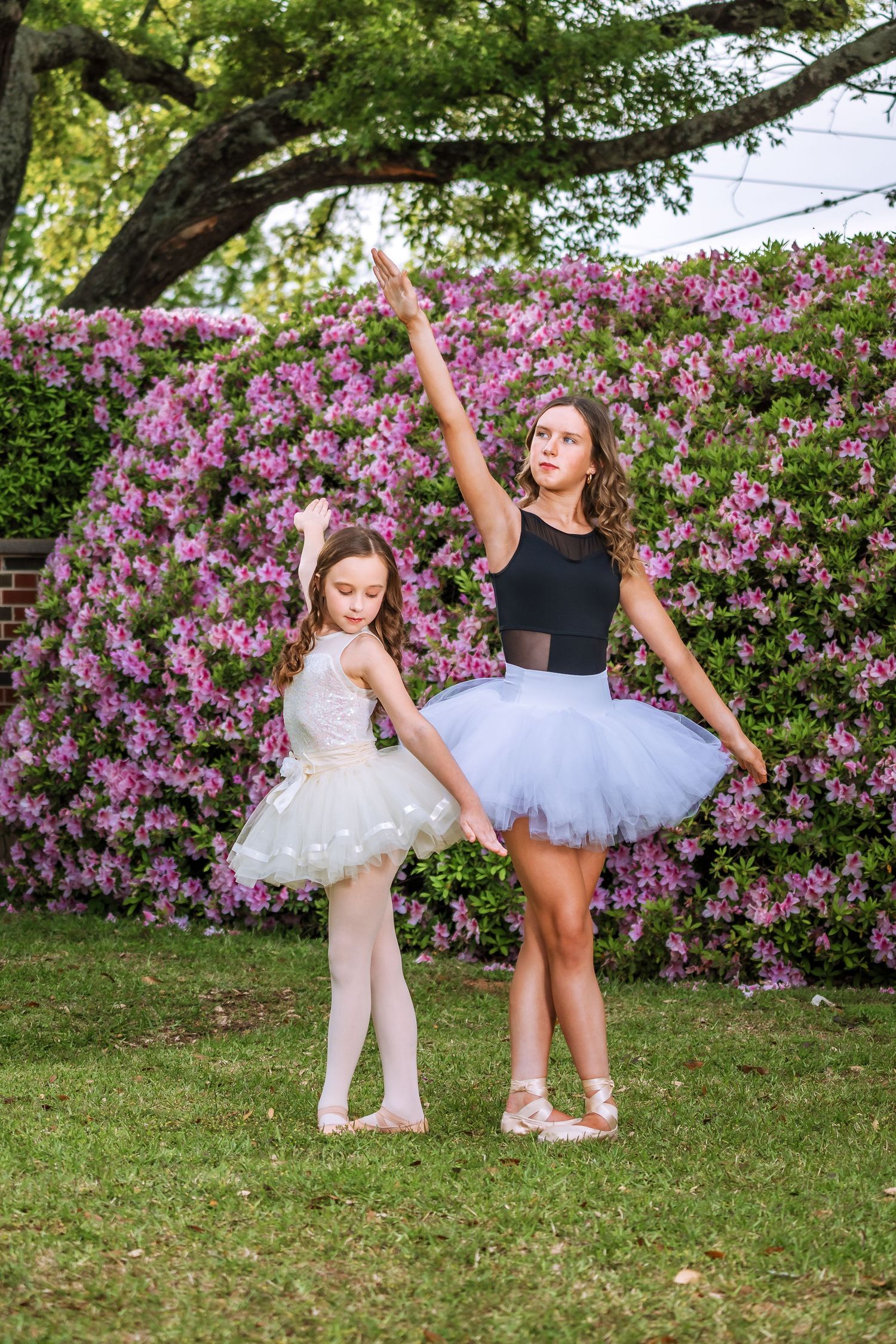 Two young ballerinas in white tutus practice ballet poses outdoors near blooming pink azalea bushes.