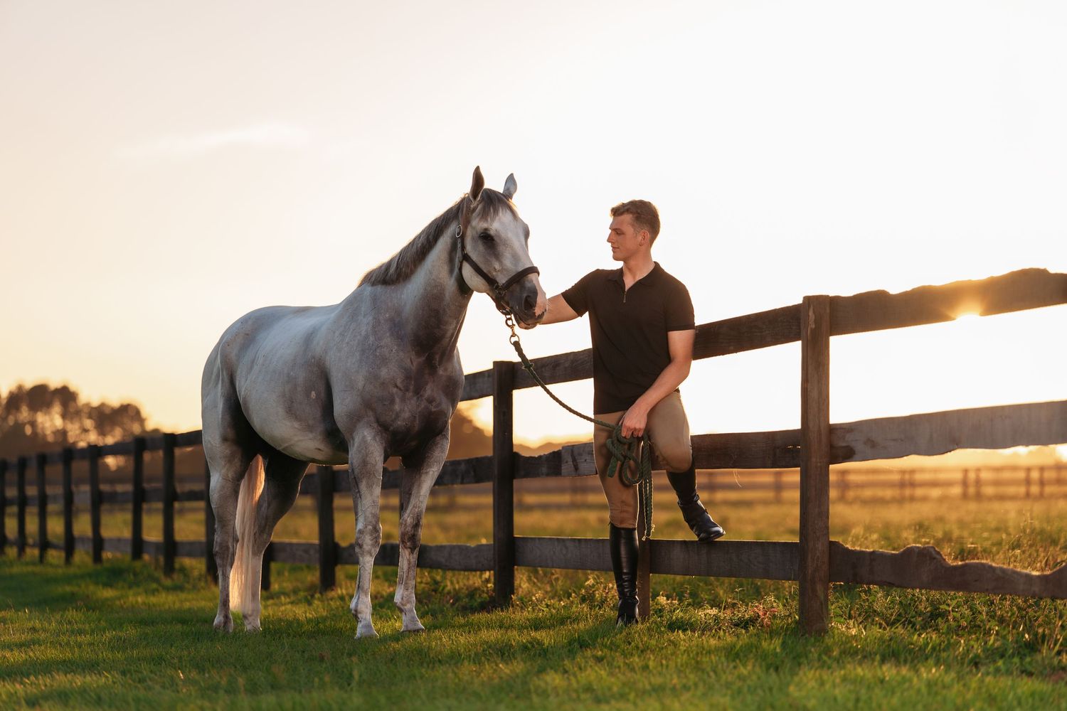 A young man in riding gear stands beside a gray horse at a wooden fence during golden hour sunset.