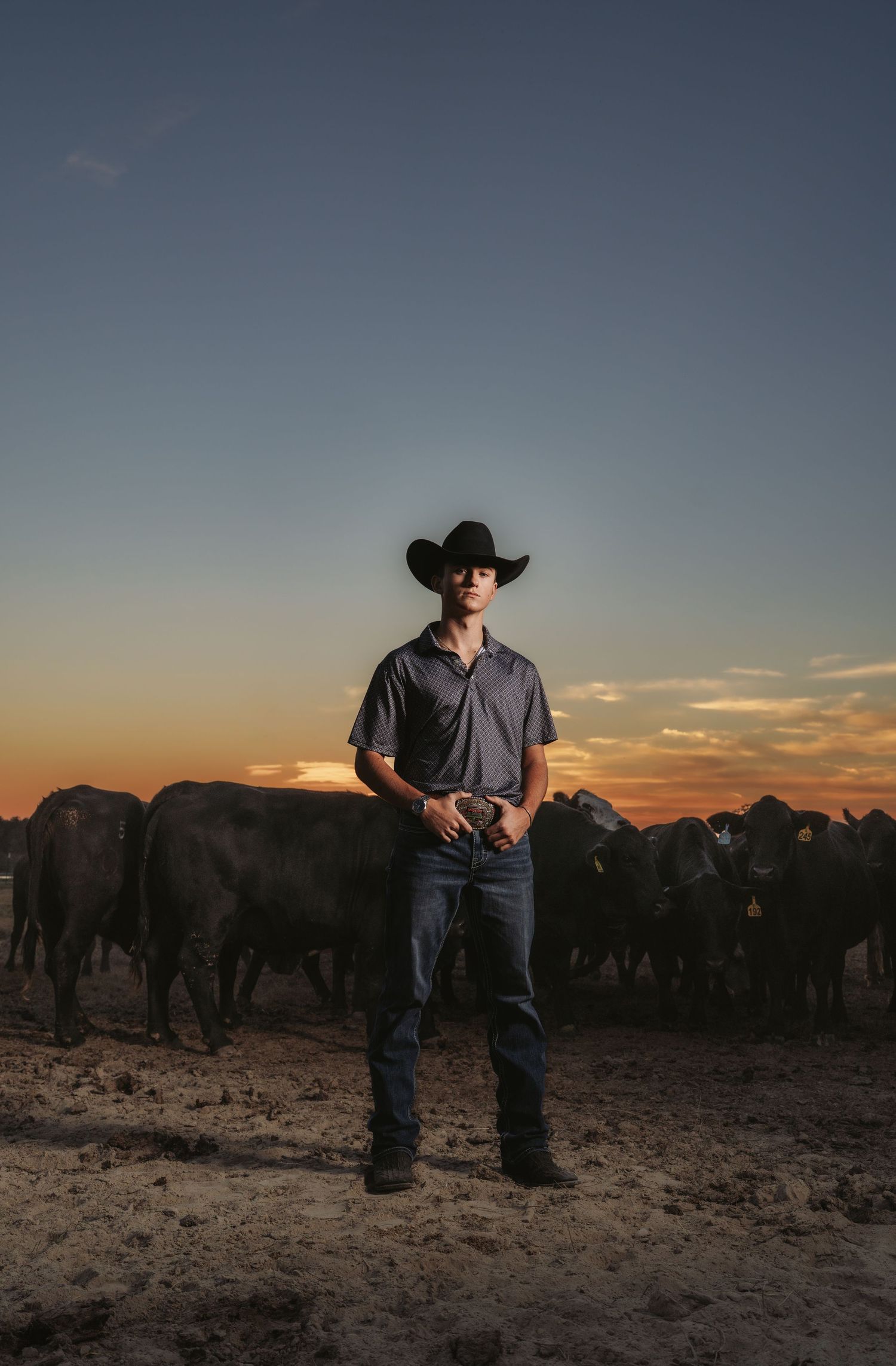 A young cowboy in a black hat and jeans stands before a herd of black cattle at sunset.