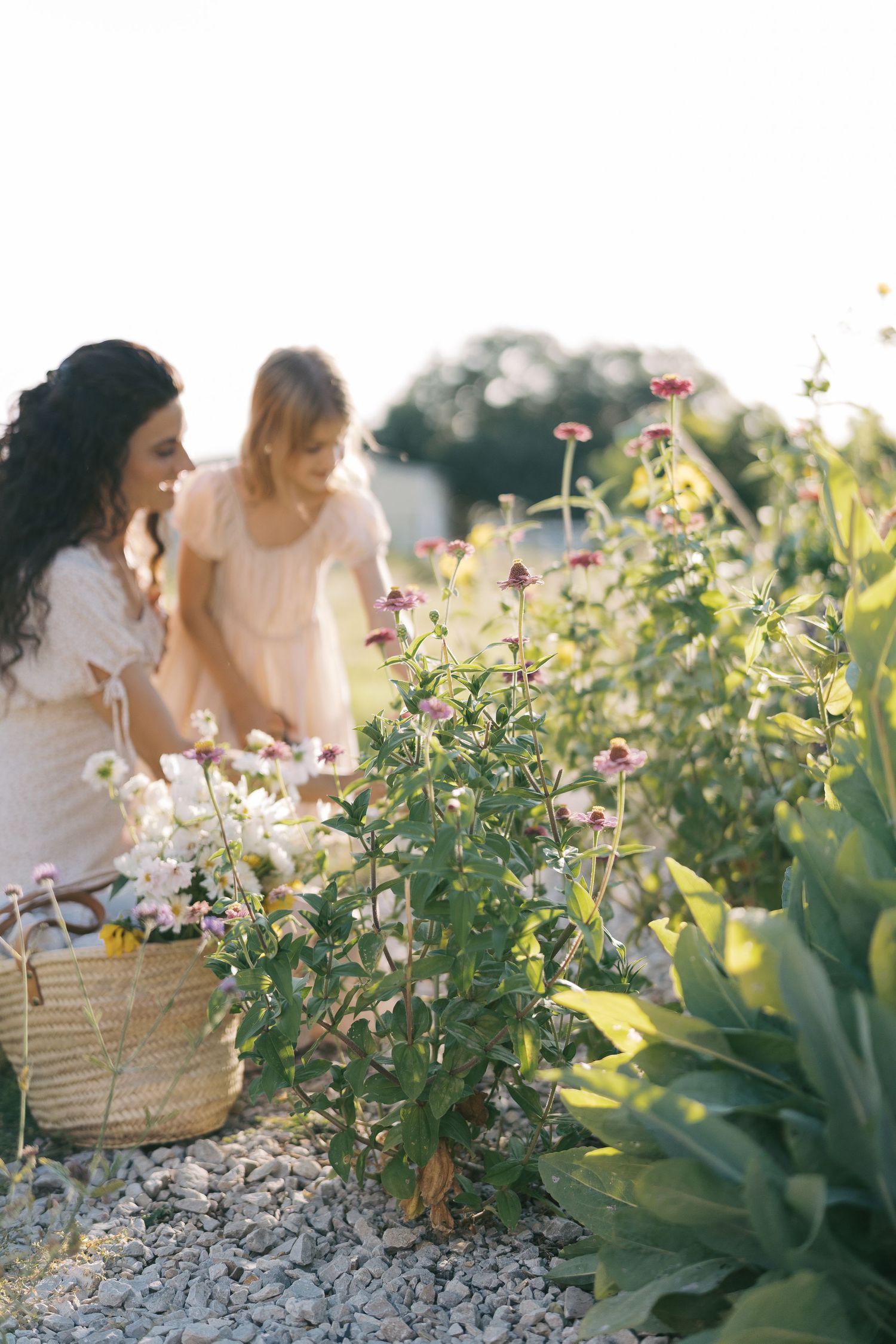 Two women in white dresses picking flowers in a sunny garden, holding a wicker basket filled with blooms.