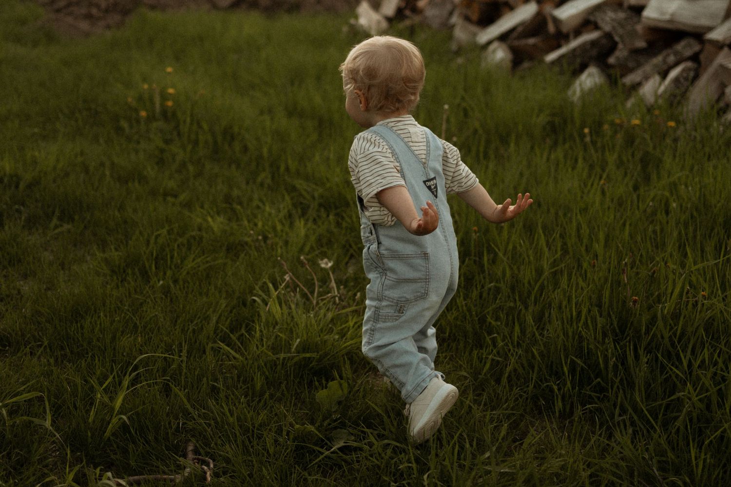 A toddler in denim overalls walks through lush green grass near a stone wall outdoors.