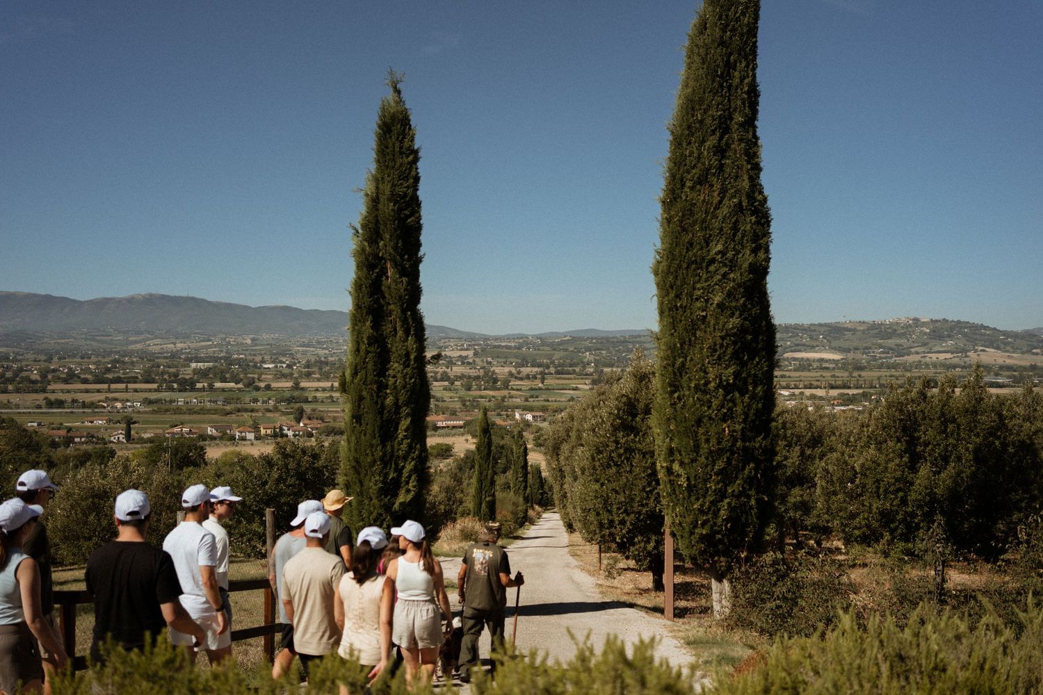 Group of tourists on a scenic path lined with cypress trees overlooking a Mediterranean valley landscape.