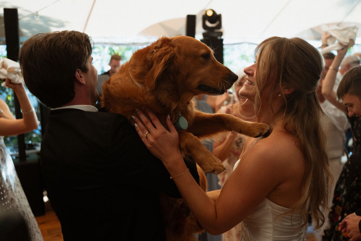 Bride in white dress and groom tenderly interact with a golden retriever dog at an outdoor wedding reception.