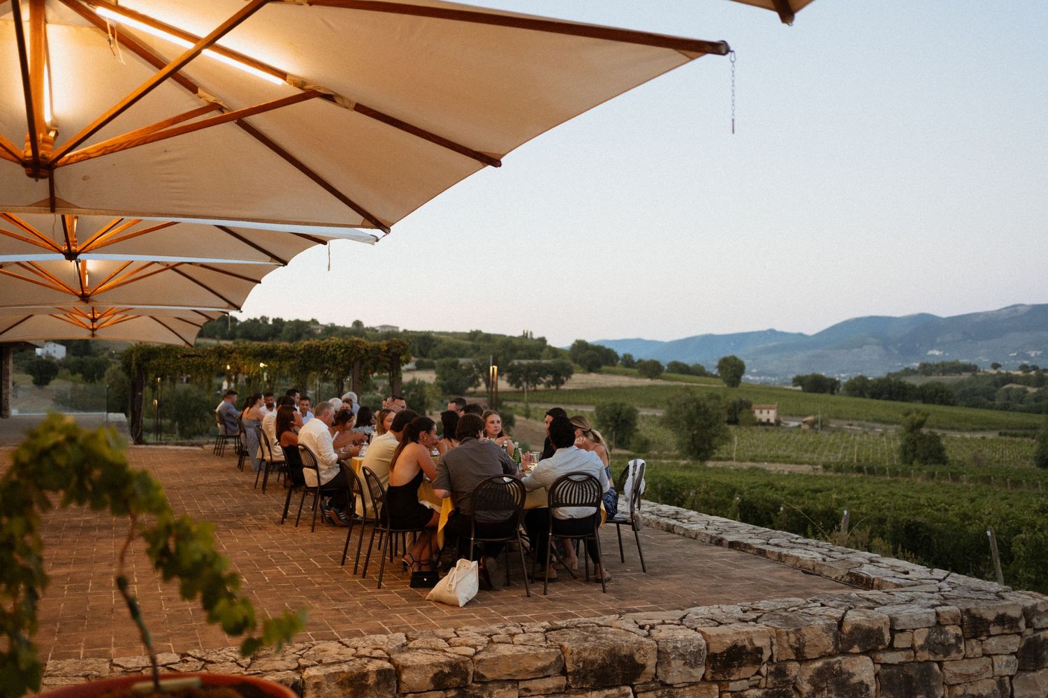 Guests dining al fresco at a vineyard terrace with mountain views at dusk, shaded by large white umbrellas.