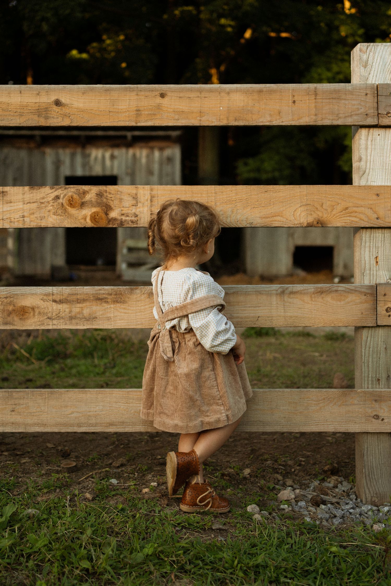 Toddler girl in tan skirt and white blouse standing at a wooden farm fence, viewed from behind.