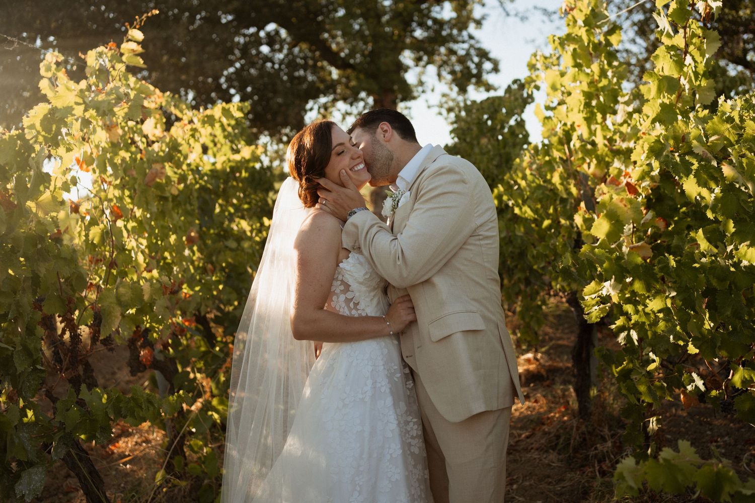 Bride and groom share a romantic moment kissing in a sunlit vineyard, bride in white gown with veil, groom in tan suit.