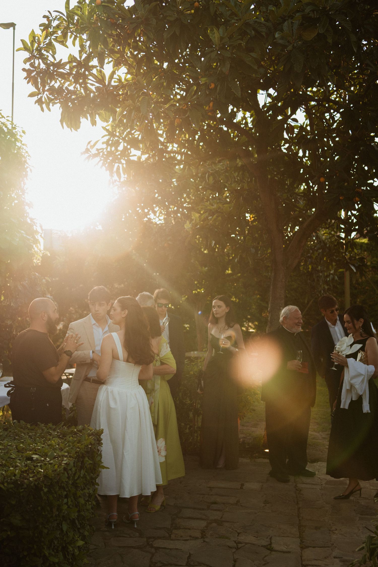 Wedding guests mingle in sunlit garden surrounded by lush trees during golden hour outdoor reception.