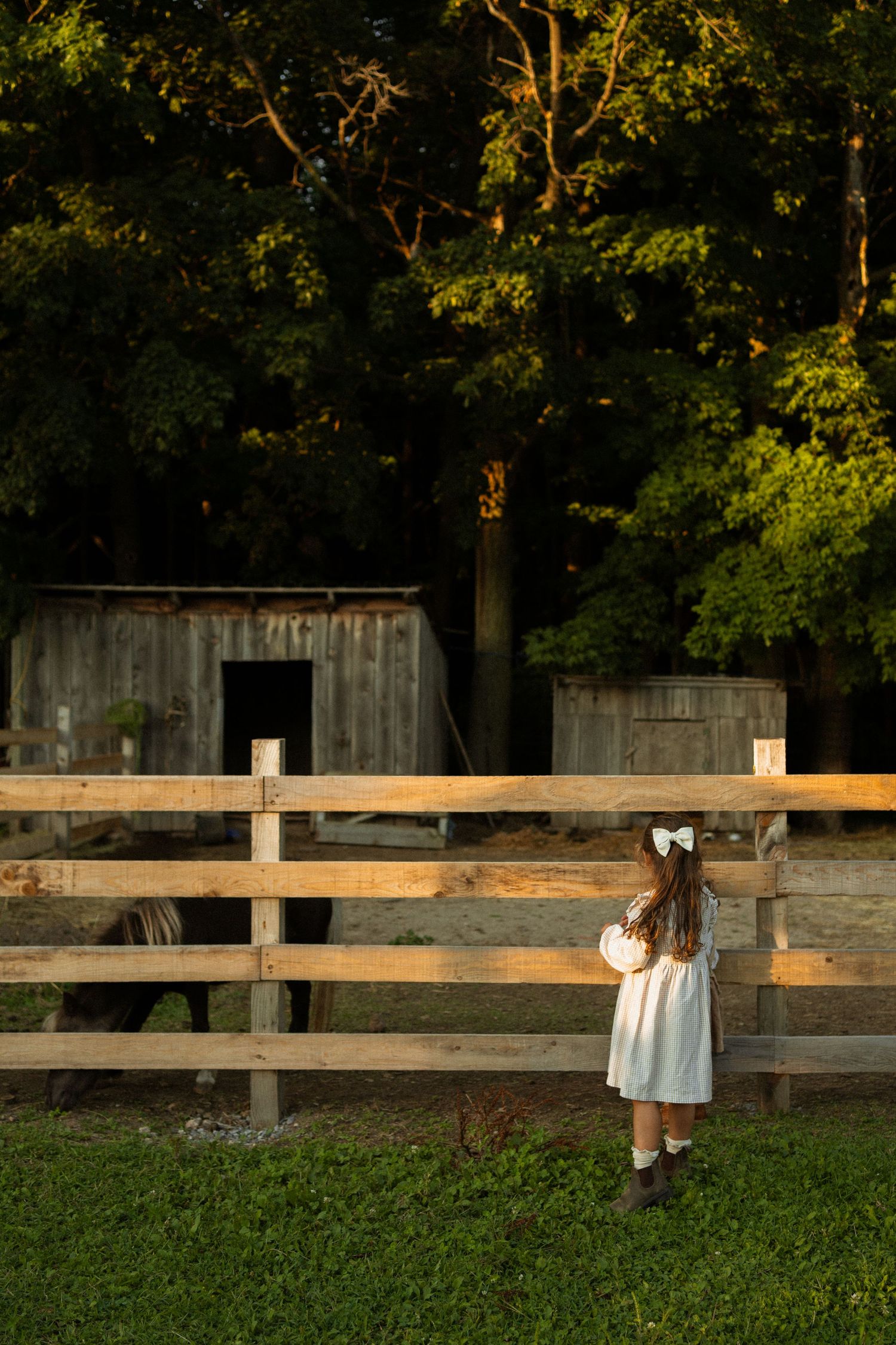 A young girl in a white dress with a bow stands at a wooden fence gazing at a horse near a rustic barn.