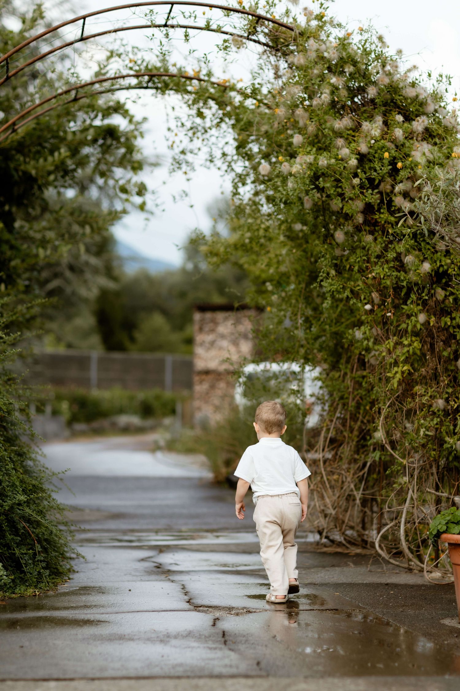 A young boy in white shirt and beige pants walks alone through a floral garden archway on a wet stone path.