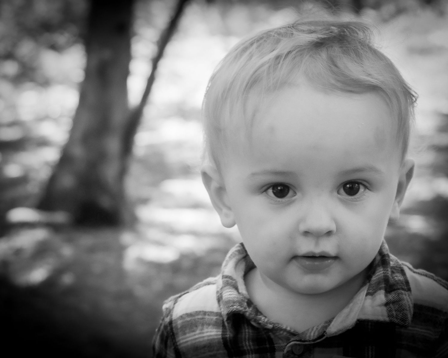 Black and white portrait of a young blonde toddler boy wearing a plaid shirt outdoors.